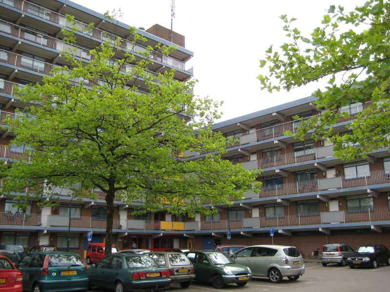 Van Slingelandtlanen 50