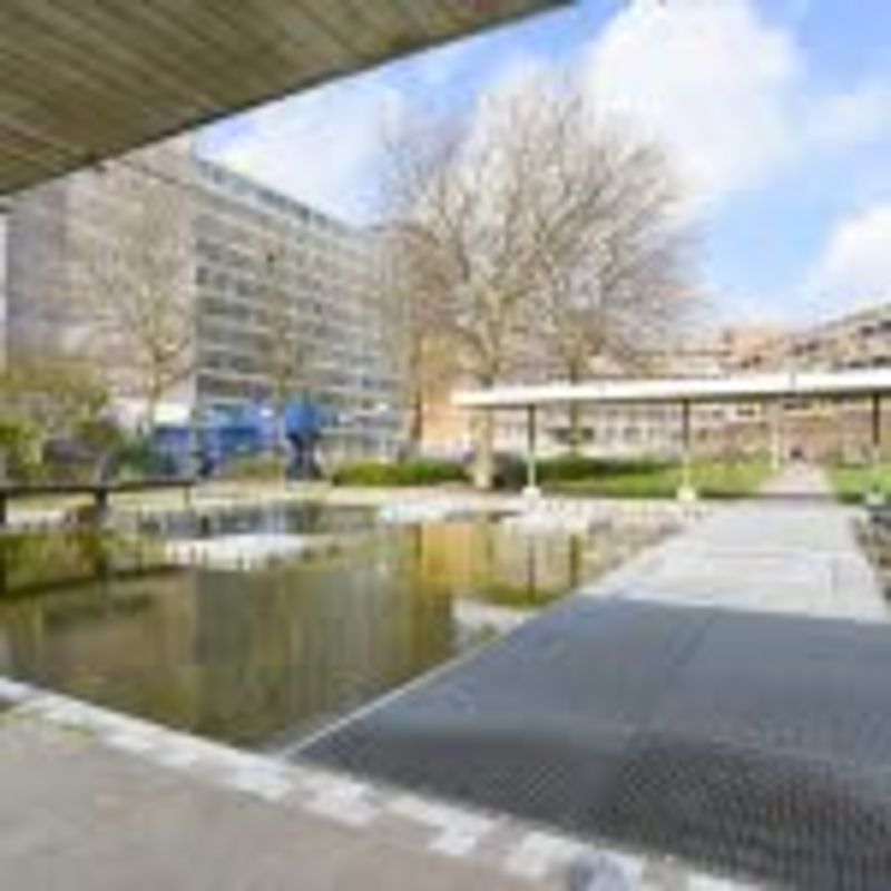 Bos en Lommerplantsoen 35