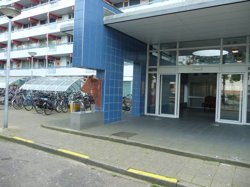 Arnold Koningstraat 1003