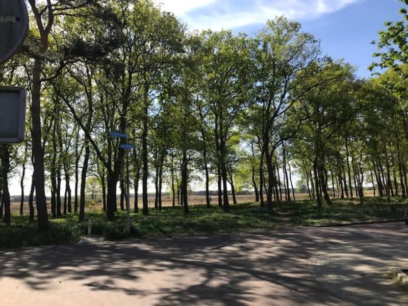 Geysendorfferstraat 26