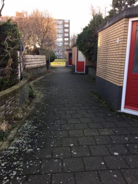 Haya van Somerenstraat 14