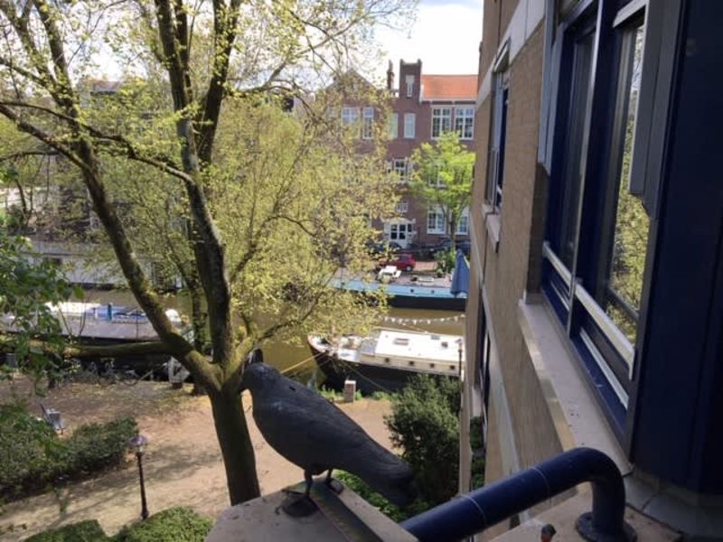 Van Limburg Stirumstraat 207