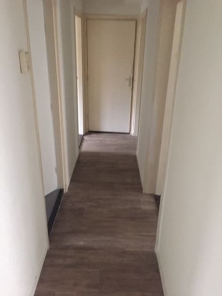 Meindert Hobbemastraat 19