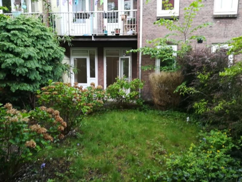 Van Helt Stocadestraat 17