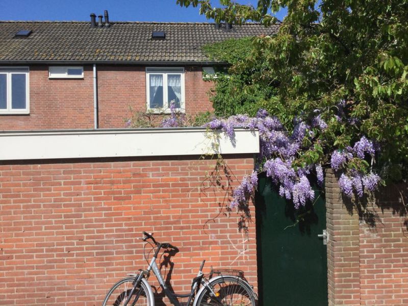 J.J.A. Goeverneurstraat 39