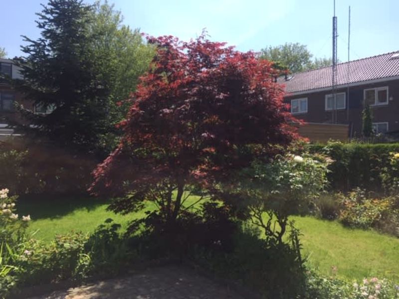 Karel Doormanplein 4