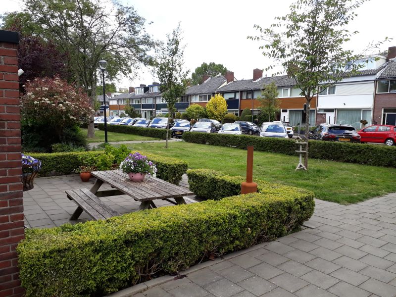 Professor Pelstraat 50