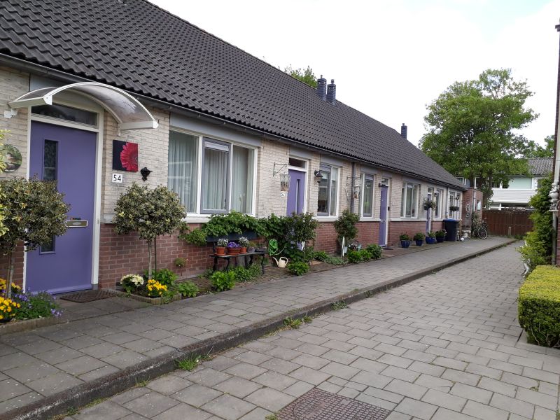 Professor Pelstraat 50