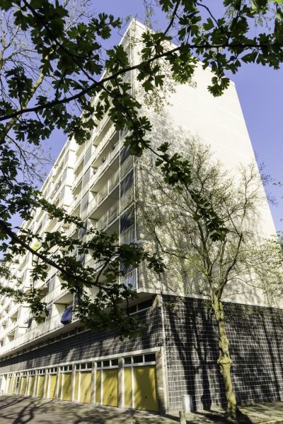 Oostelijk Halfrond 319