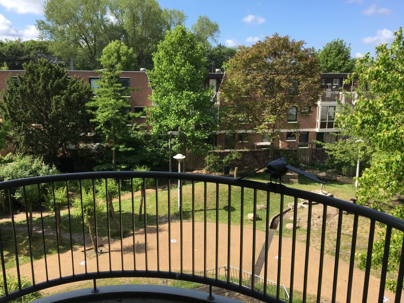 Assendelftstraat 172