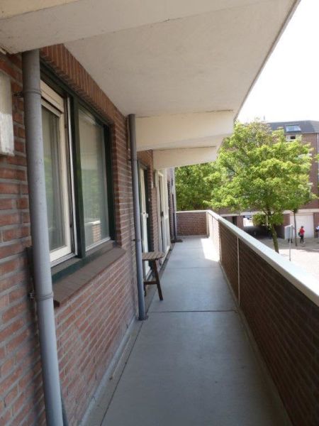 Zuidpolderstraat 131