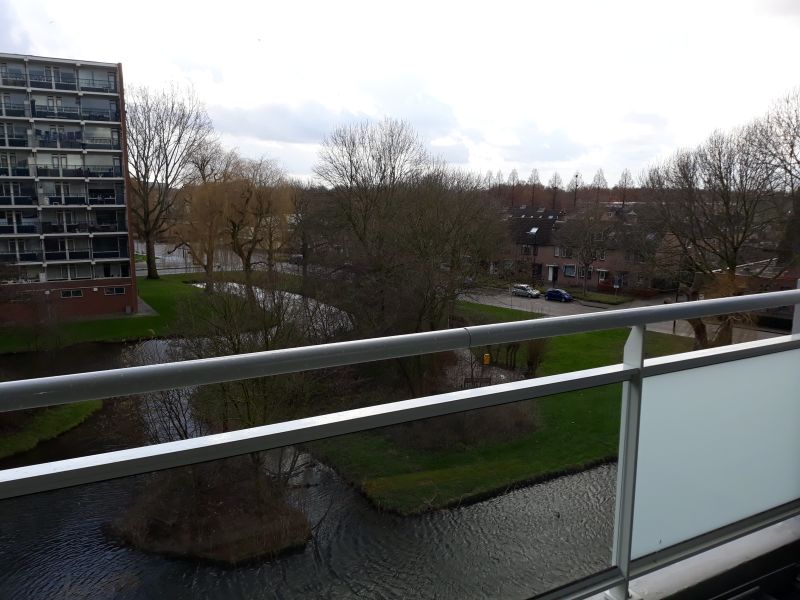 Pieter de Hoochplaats 208