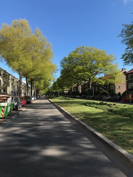 Jacob van Campenlaan 159