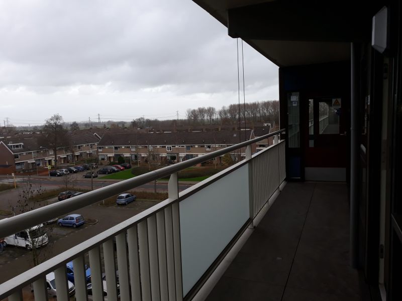 Pieter de Hoochplaats 58