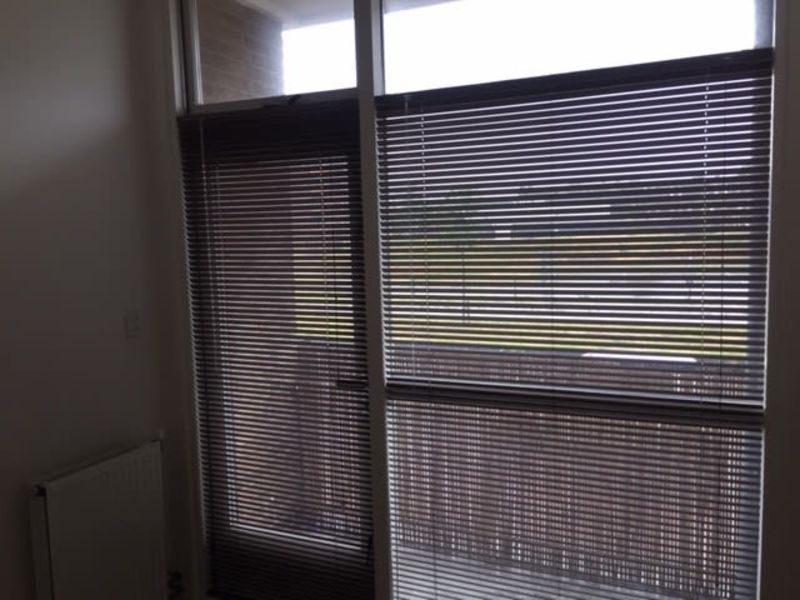 Gijzenveltplantsoen 169