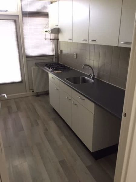 Gijzenveltplantsoen 169