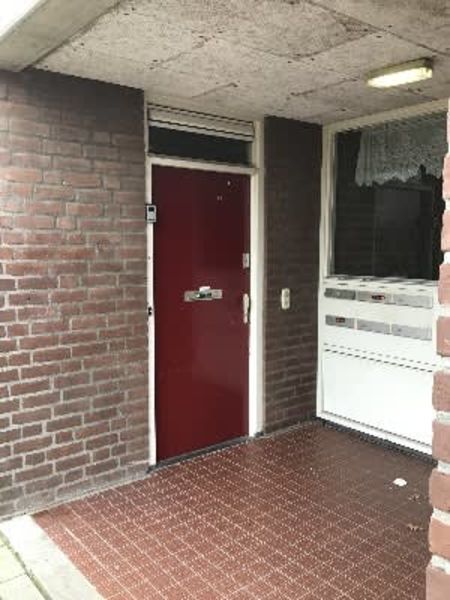 Bernard Shawsingel 282