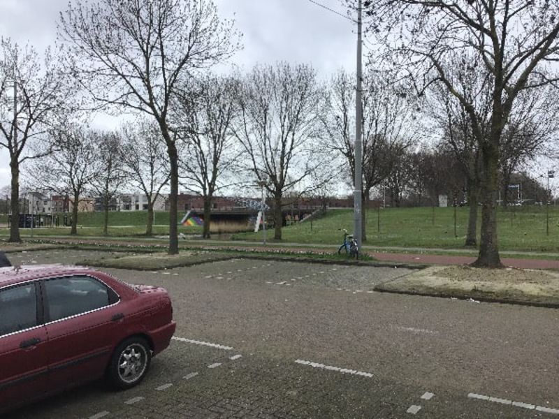 Bernard Shawsingel 282