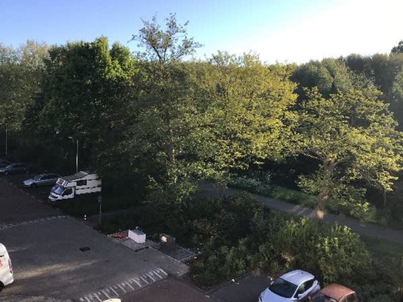 Waalenburgsingel 157