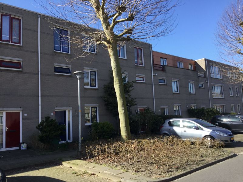 Basilicumweg 155, 1314 JW Almere, Nederland