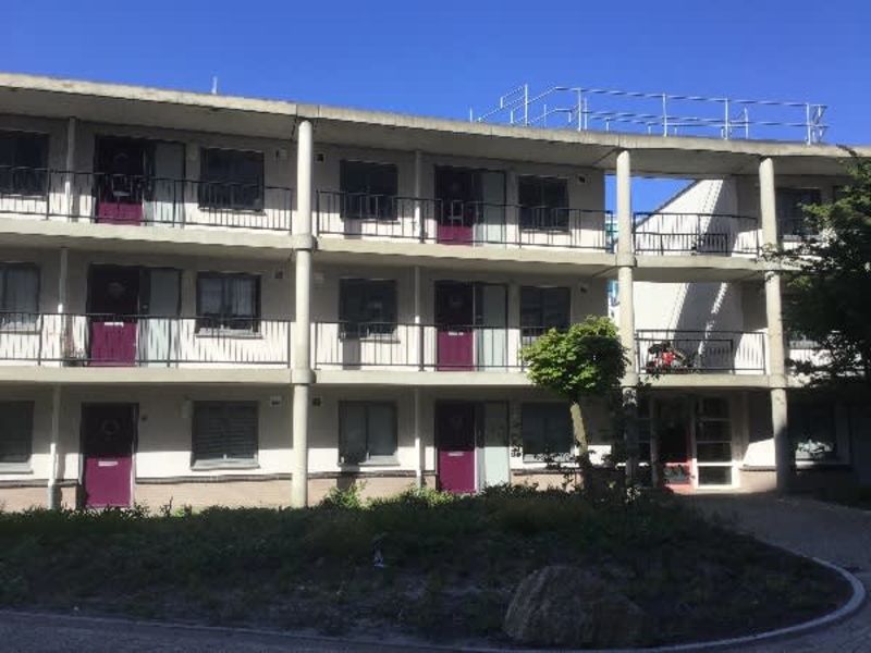 Bos en Lommerplantsoen 46