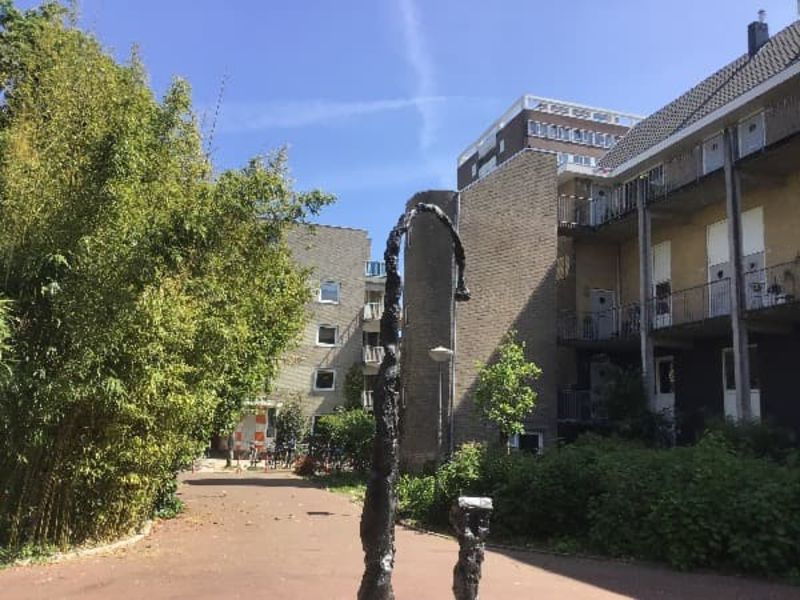 Jeltje de Bosch Kemperpad 208