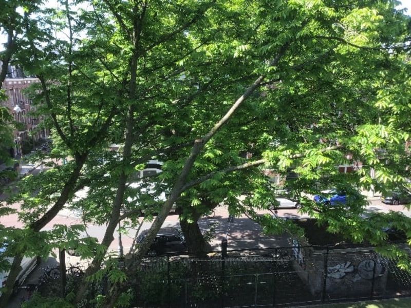 Jeltje de Bosch Kemperpad 208