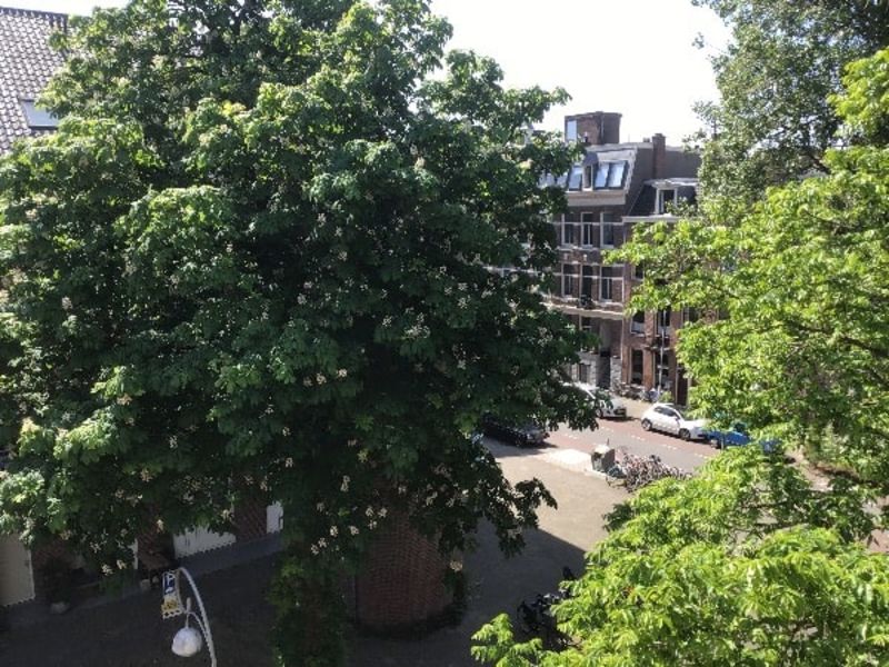 Jeltje de Bosch Kemperpad 208