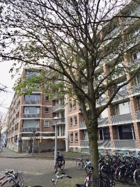 Prins Bernhardplein 167