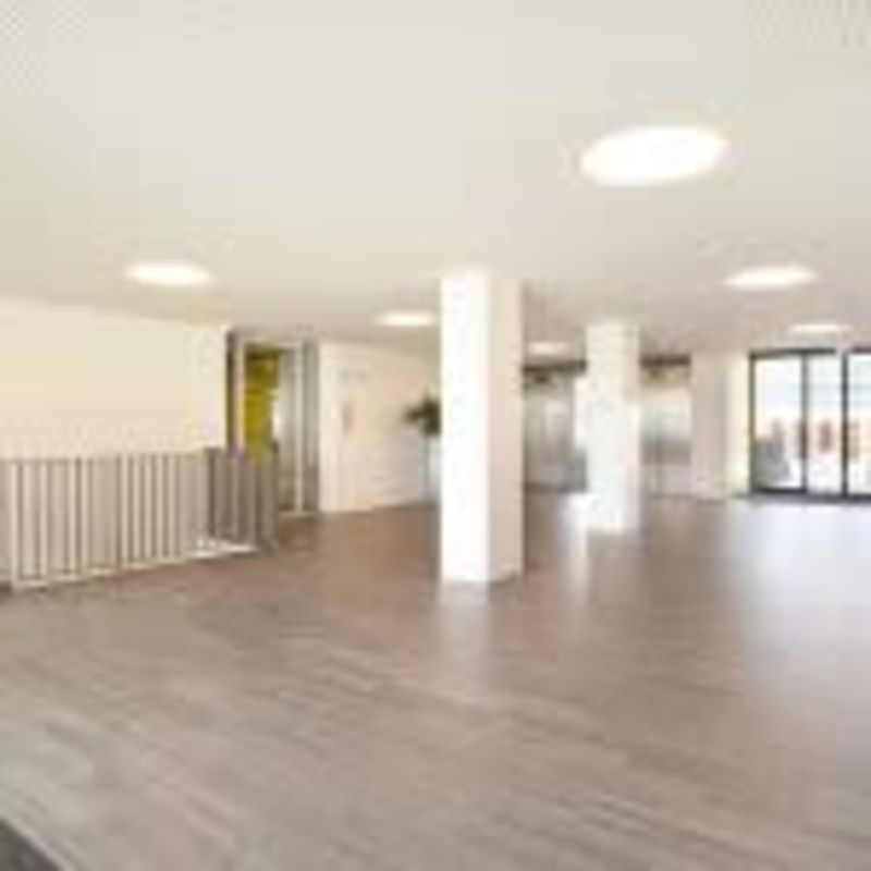 Bos en Lommerplantsoen 31