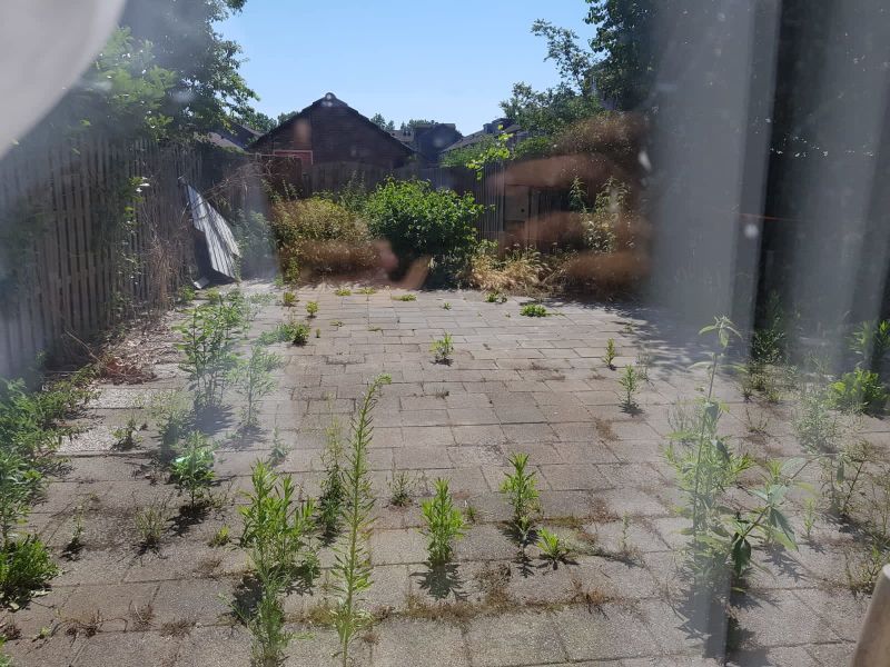 Overlanderstraat 514