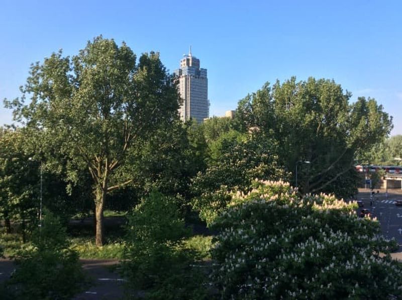 Prins Bernhardplein 97