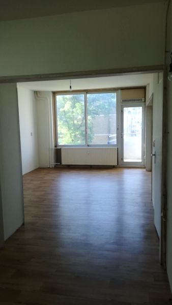 Marius Bauerplantsoen 15