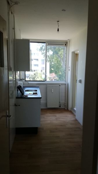 Marius Bauerplantsoen 15