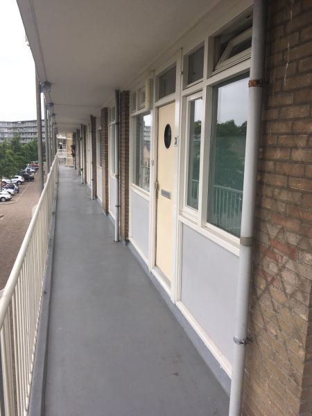 Wollegrasstraat 38, 1531 TG Wormer, Nederland