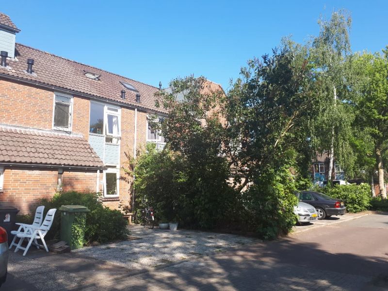 Wolfsklauwstraat 62, 9731 HC Groningen, Nederland