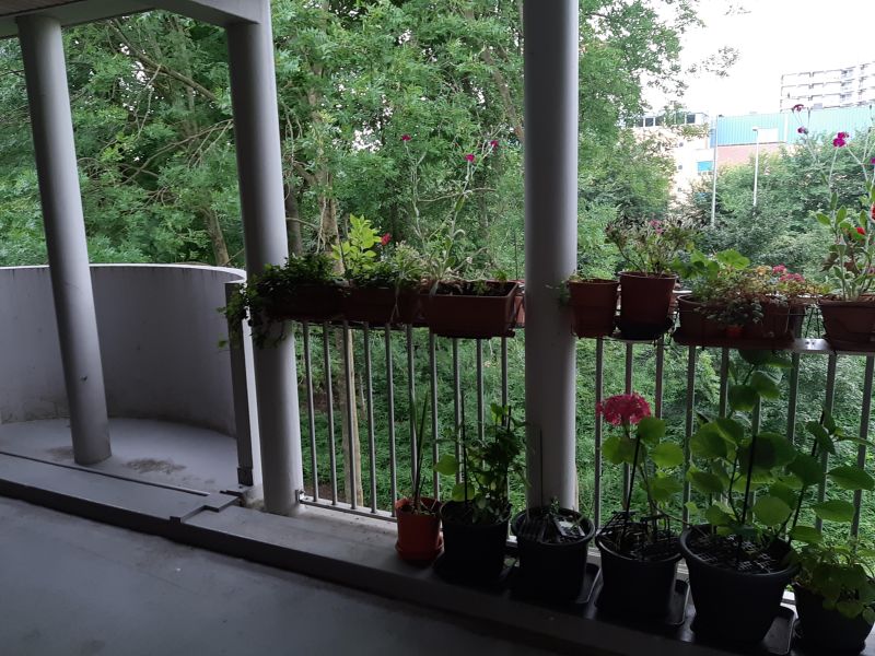 Bovenover 323, 1025 JR Amsterdam, Nederland