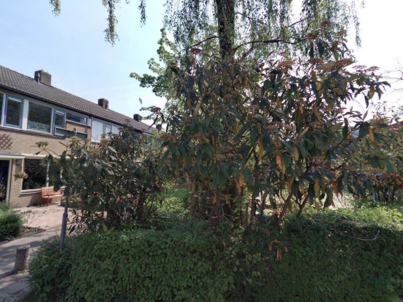 De Were 39, 3332 KC Zwijndrecht, Nederland