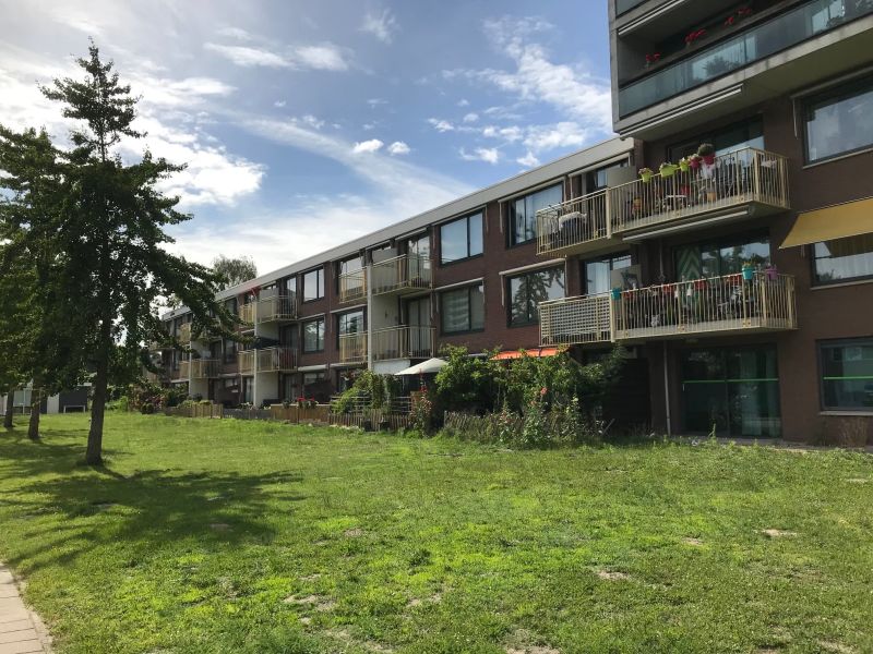 Panneroodstraat 55, 1503 XL Zaandam, Nederland