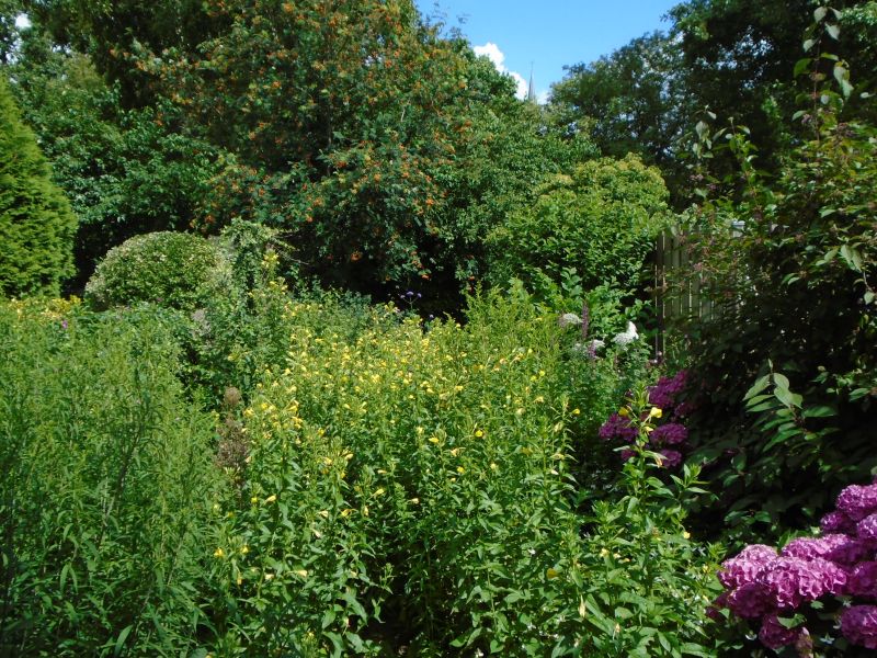 Strawinskystraat 100