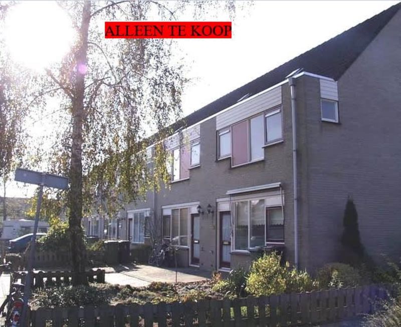 Berckheydestraat 58