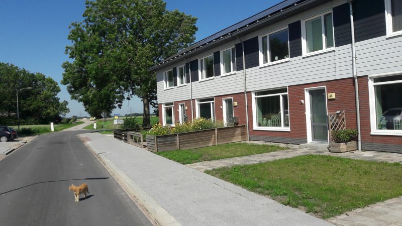 Sjuxumerweg 50, 9919 JL Loppersum, Nederland