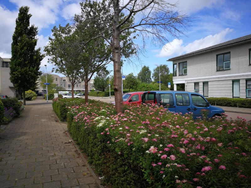 Femina Mullerstraat 357