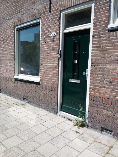 Plataanstraat 65, 2023 SC Haarlem, Nederland