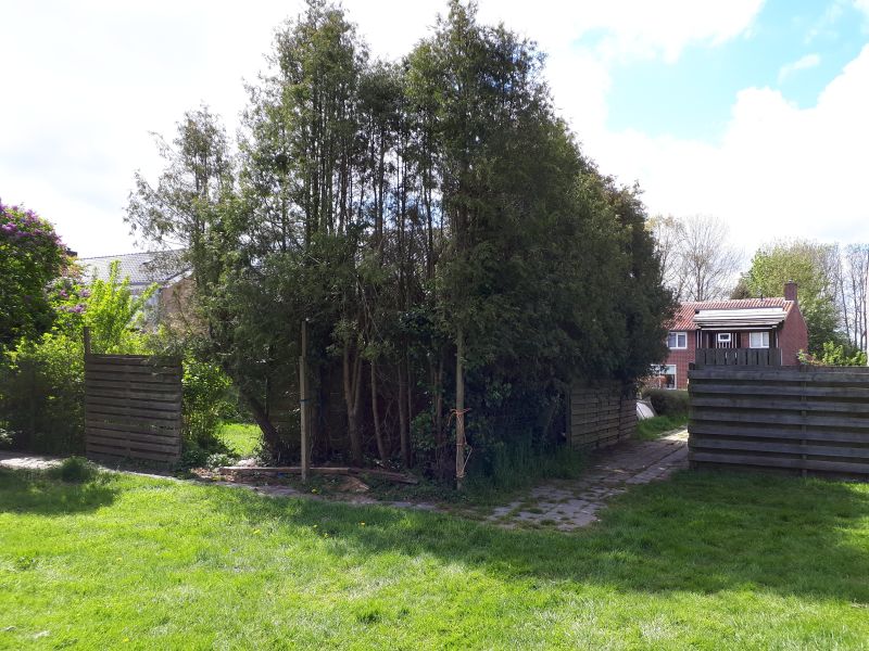 Burgemeester P.A. de Rochefortstraat 6