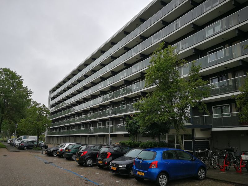 Graan voor Visch 13925