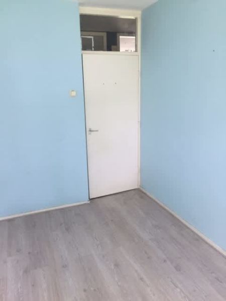 Van Den Bergh van Eysingaplantsoen 7