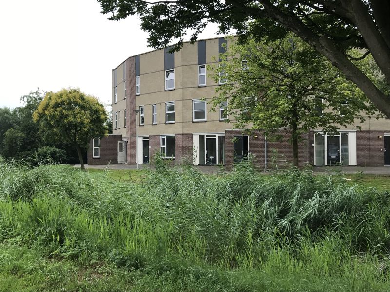 Weegbree 39, 3401 KA IJsselstein, Nederland