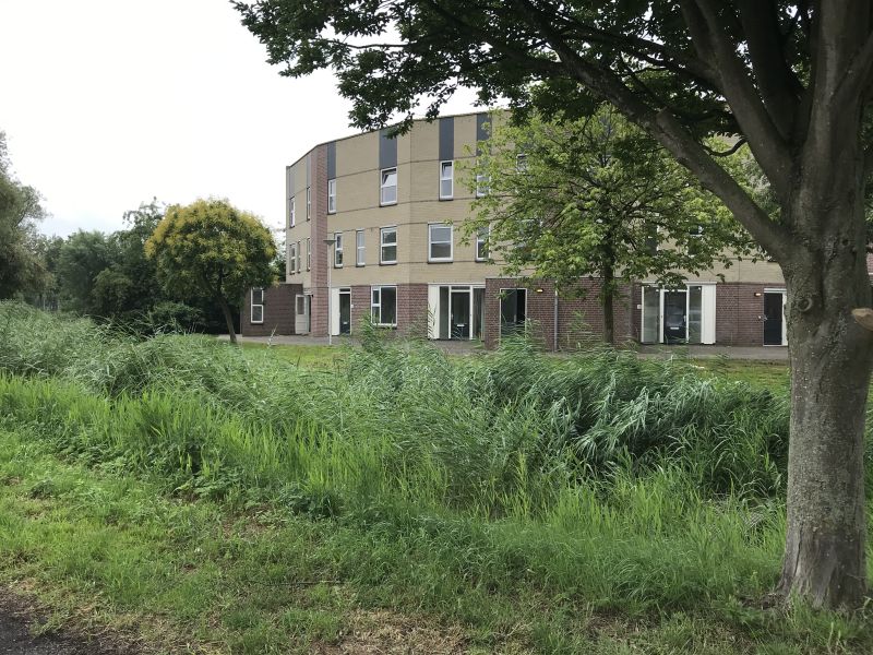 Weegbree 41, 3401 KA IJsselstein, Nederland