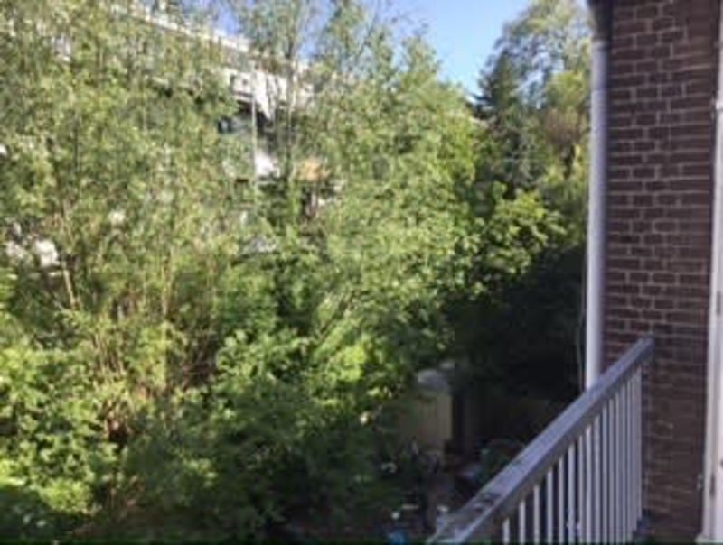 Transvaalstraat 138B